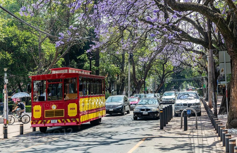 Tranvia Turistico historic tourist tram vehicle