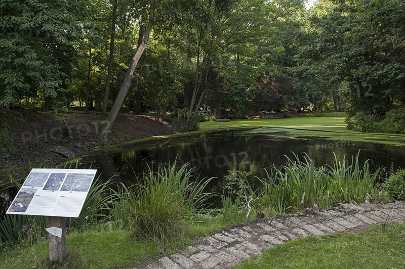 Pond made by mine crater at the Hooge Crater