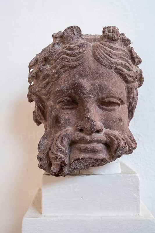 Portrait of Bachus