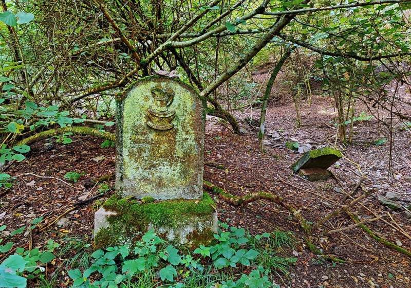 Monument zone Old Jewish cemetery in the forest