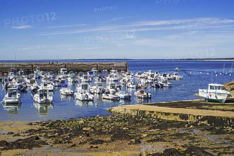 Jetty and motor boats in the port