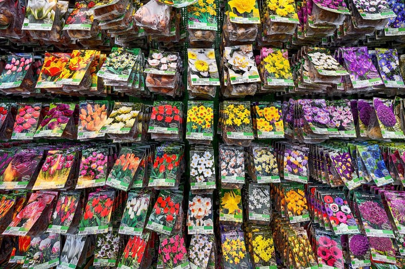 Bag of flower seeds in a garden centre