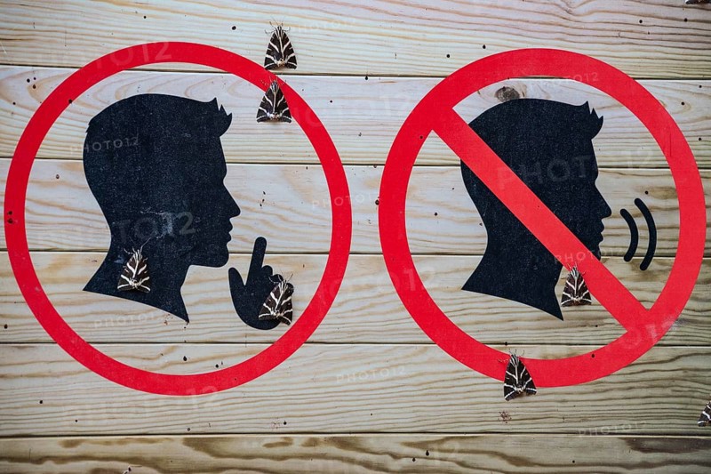 Russian Bears