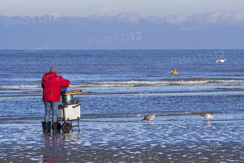 Shrimper sorting catch from shrimp drag net