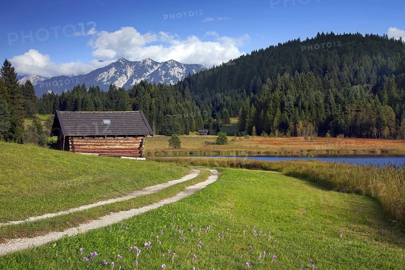 Wooden huts