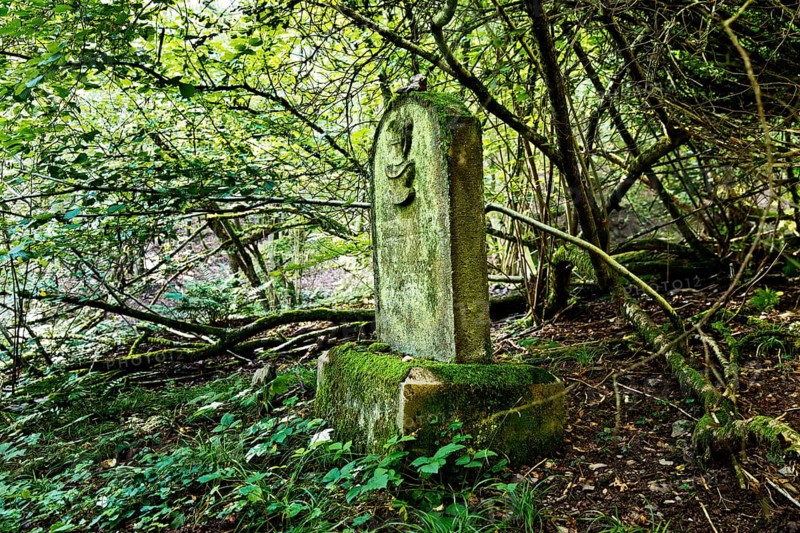 Monument zone Old Jewish cemetery in the forest