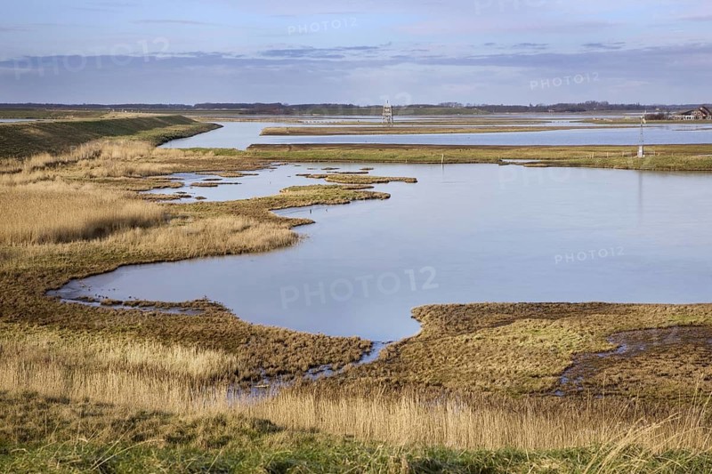 The nature reserve Schouwen-Duiveland