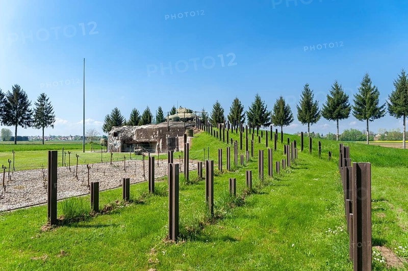 Reconstruction of the Esch casemate as part of the Maginot Line with barbed wire house