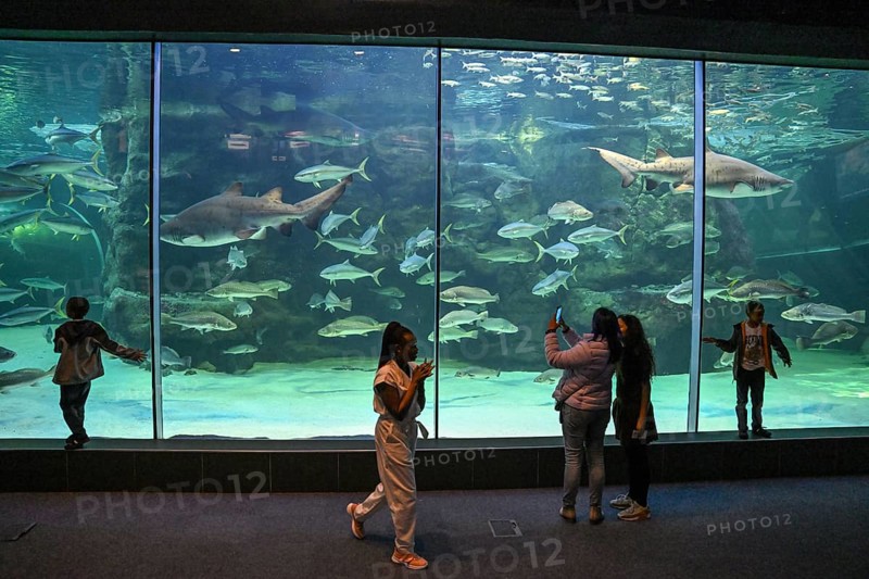 Visitors at the Two Oceans Aquarium