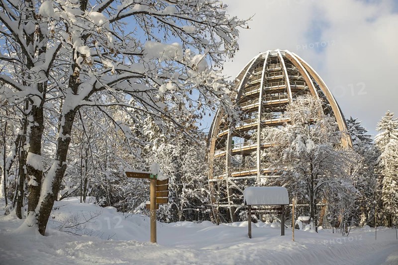 Baumwipfelpfad in winter