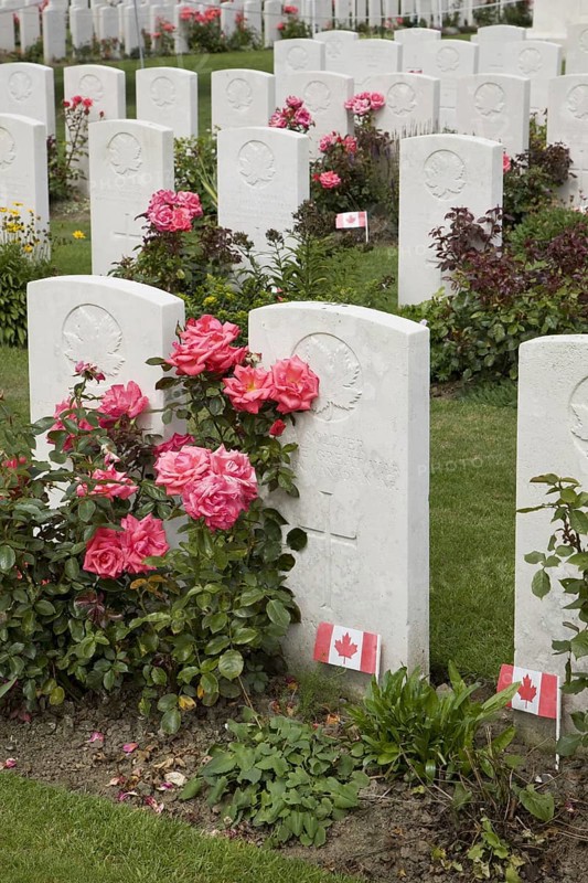 Tyne Cot Cemetery