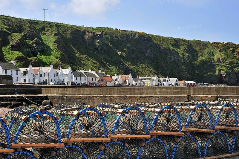 Lobster traps