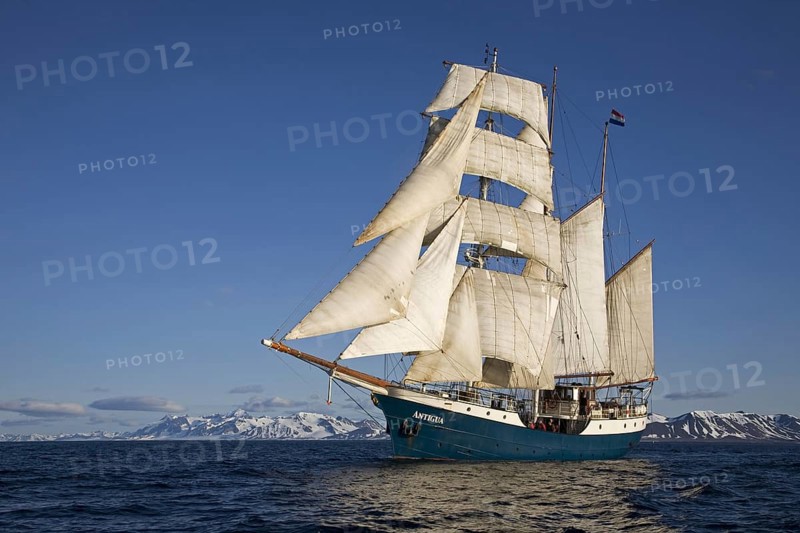 The tall ship