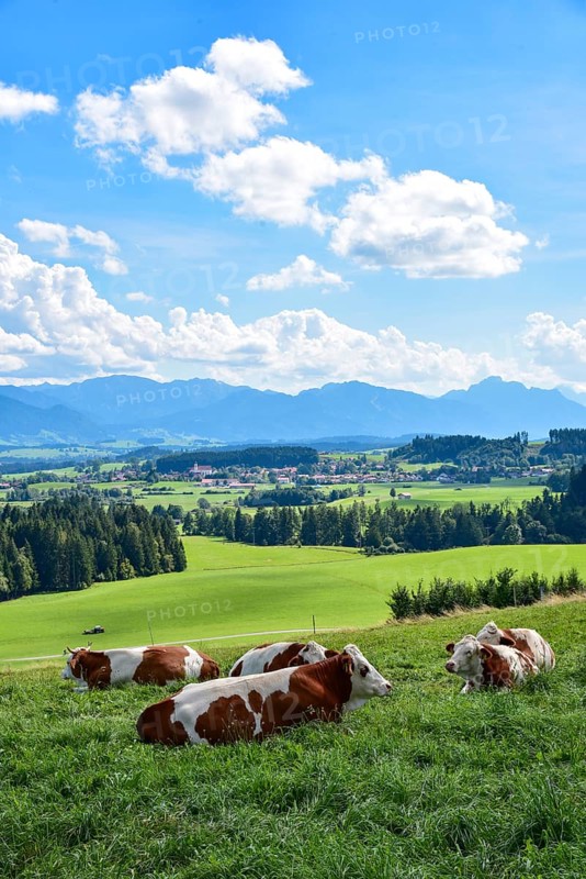 View from the Auerberg near Bernbeuern to the Allgaeu mountains near Fuessen