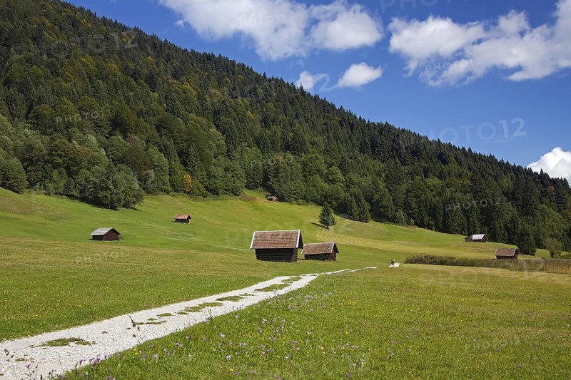 Wooden huts