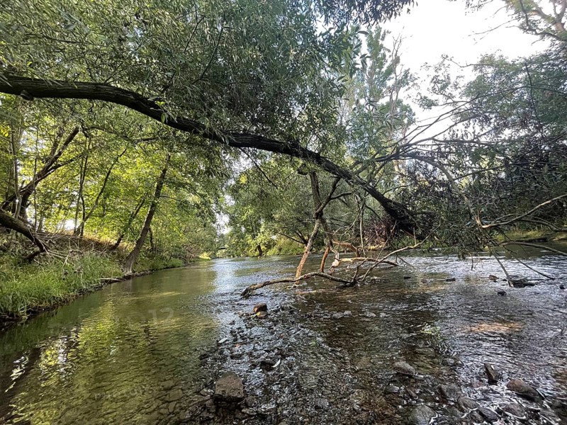 Natural river course