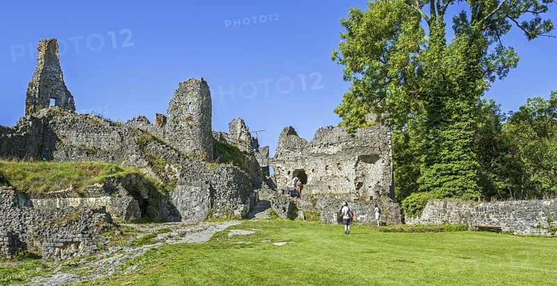 Chateau de Montaigle in summer