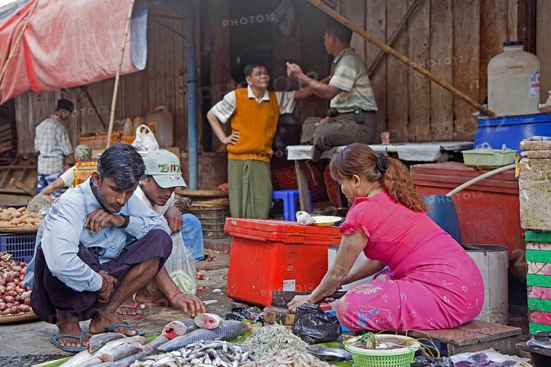 Burmese woman cleaning fish and selling seafood at food market in Yangon