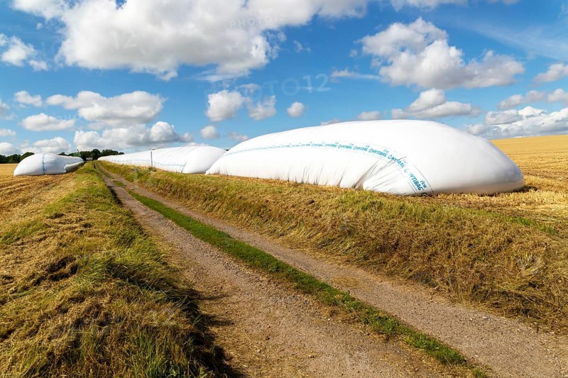 HYTIBAG grain silo bags in cereal field