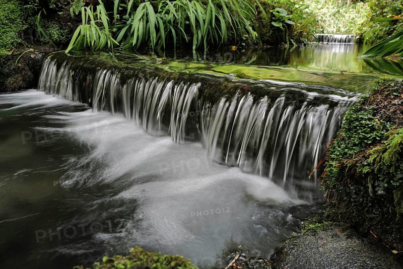 Water flowing through a wooded area on a cold day along the Wild Atlantic way