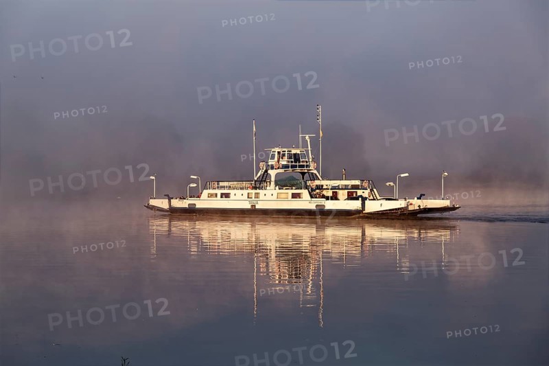 The Elbe ferry Tanja in the early morning mist between Darchau and Neudarchau on the Elbe in the UNESCO Biosphere Reserve Elbe River Landscape. Amt Neuhaus