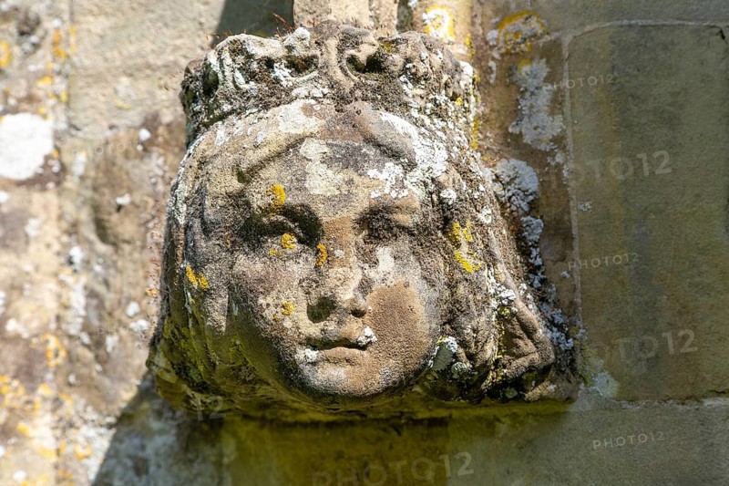 Weathered stonework moss and lichen growing on a queen's head