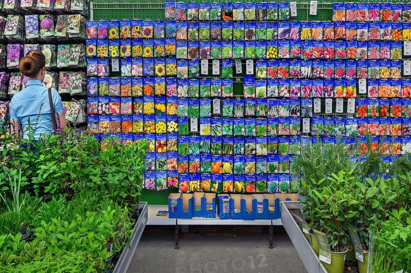 Bag of flower seeds in a garden centre