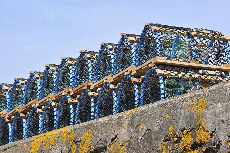 Stacked lobster traps