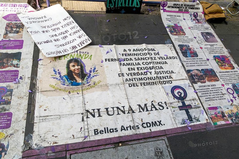 Protest banners demanding justice for Fernanda Sanchez Velarde femicide murder victim
