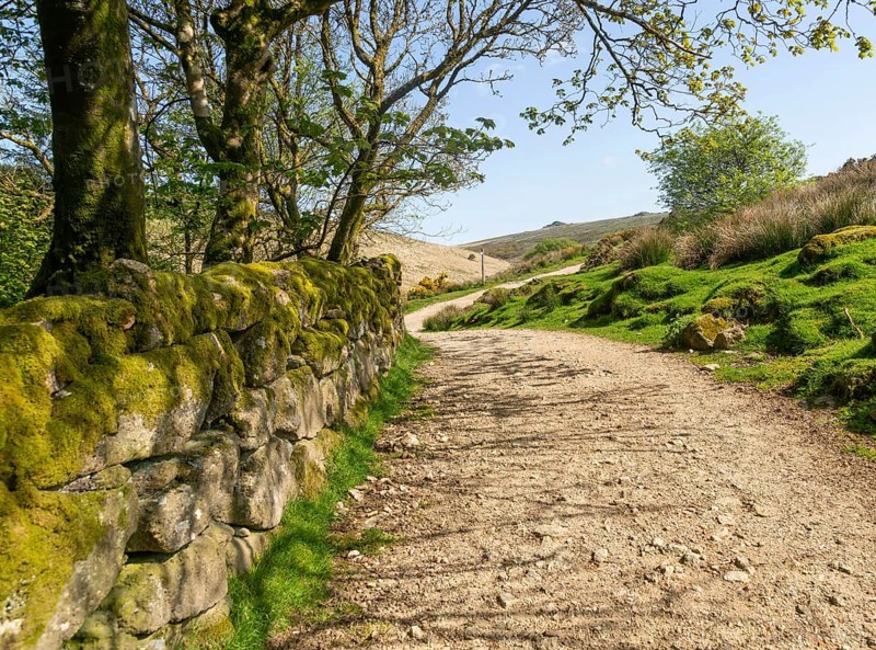 Walking route track West Dart valley walk