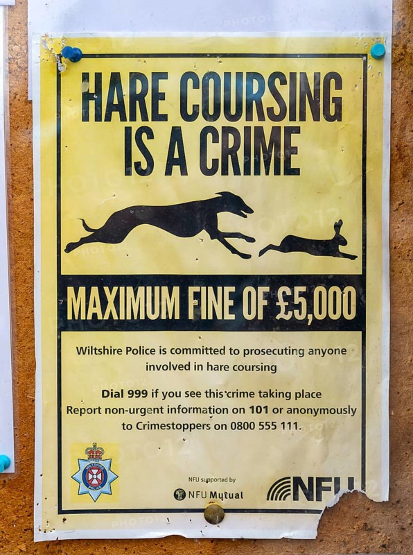 Hare Coursing is a Crime poster on village noticeboard
