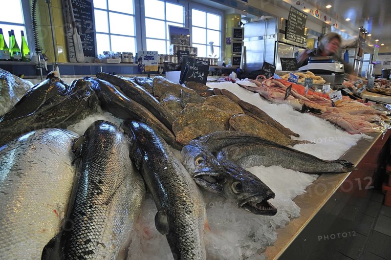 Fresh fish and seafood on display at fish market in the port of Le Treport