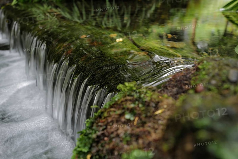 Water flowing through a wooded area on a cold day along the Wild Atlantic way