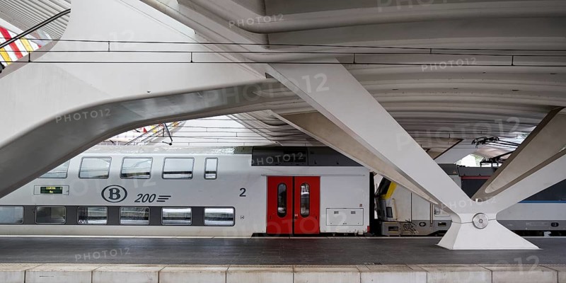 Train in Liege-Guillemins station