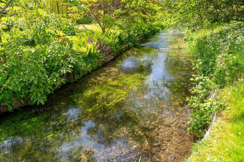 Chalk stream River Avon