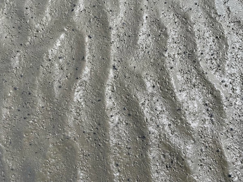 Silt