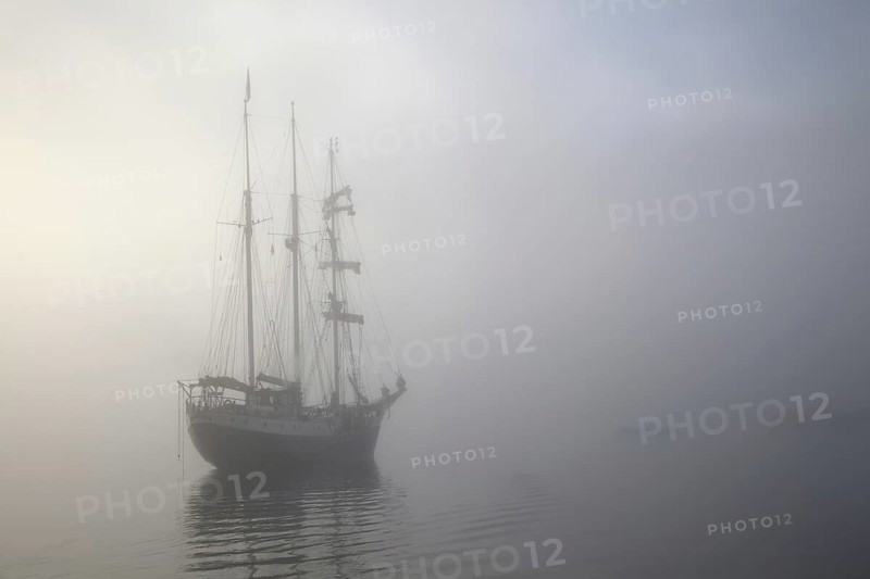 The tall ship