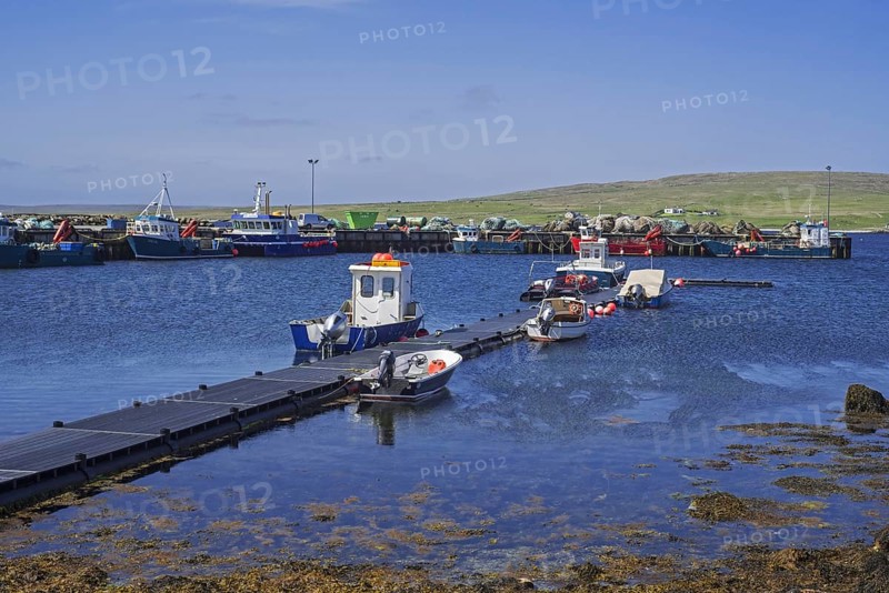 Fish farming workboats in the harbour of Uyeasound on the Isle of Unst