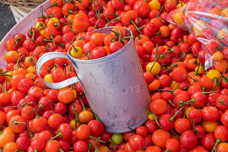West Indian cherries