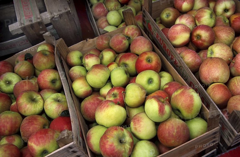 Cultivated Jonagold apples in wooden boxes at fruit market