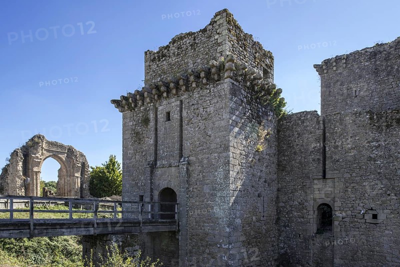Ruins of the medieval Chateau de Tiffauges