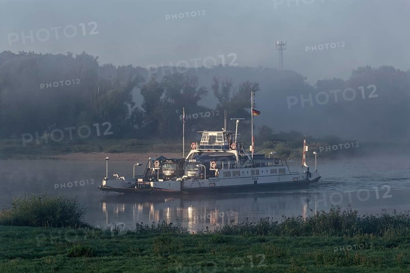 The Elbe ferry Tanja in the early morning mist between Darchau and Neudarchau on the Elbe in the UNESCO Biosphere Reserve Elbe River Landscape. Amt Neuhaus