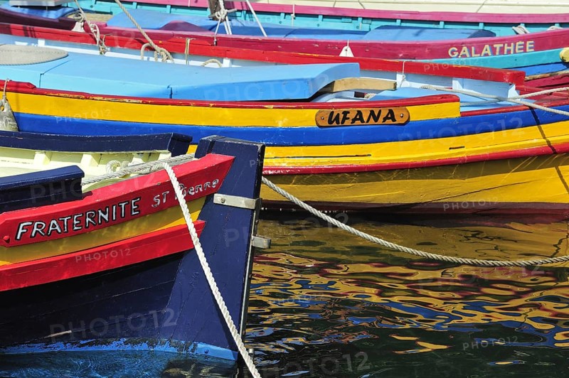Traditional colourful fishing boats for fishing anchovies in the harbour at Collioure