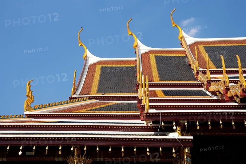 Pagoda roofs with curved decorations