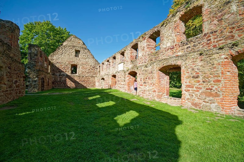 Nimbschen Monastery Ruins