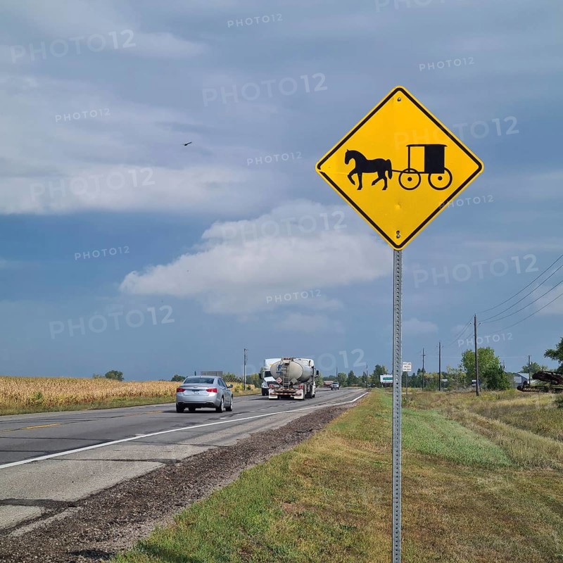 Traffic sign for Amish horse-drawn carriages