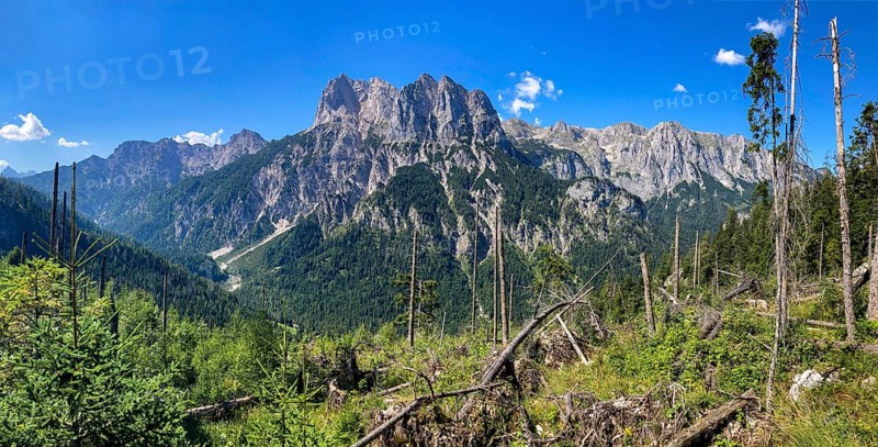Damage to the forest due to wind breakage in the Berchtesgaden National Park
