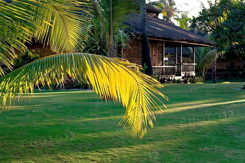 Palm frond and bungalow at Silver Beach