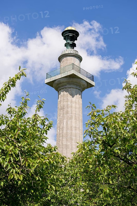 Constitutional column