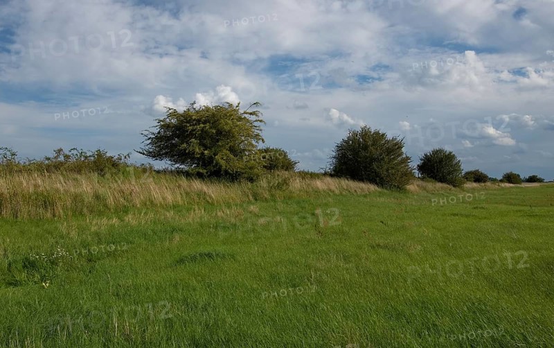 Elbe dyke near Rueterberg